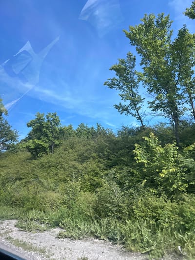 The image presents a vibrant outdoor scene, captured with a view that includes reflections from a vehicle's windshield. The primary elements are a clear blue sky, lush green vegetation, and a gravelly ground surface.
The upper portion of the image is dominated by a bright, cerulean blue sky, with scattered wispy white clouds, suggesting fair weather. From the left and top edge, the branches of large trees, adorned with dense green leaves, extend into the sky.
Below the sky, and forming the central and right parts of the image, is a thick expanse of green foliage. This consists of numerous trees and bushes, varying in shade of green, indicating healthy growth. The vegetation appears dense, resembling a roadside verge or a forest edge.
Along the right side and bottom right corner, a strip of light grey, gravelly or rocky ground is visible, suggesting a dirt path, an unpaved road, or the shoulder of a road.
In the lower-left quadrant, significant reflections are cast onto what appears to be a car's windshield or side window. These reflections show indistinct shapes of the car's interior, possibly parts of the dashboard, rearview mirror housing, or roofline, tinted blue by the sky's reflection. This indicates the photo was taken from inside a moving or parked vehicle.
The time of day is clearly daytime, likely bright morning or afternoon, given the clear sky and strong illumination of the foliage. The weather is sunny and pleasant. The scene evokes a sense of natural tranquility. No specific text is visible within the image. The location context provided is Kumanovo, Bulgaria, suggesting this natural landscape is situated there.