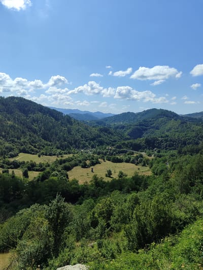 The image depicts a panoramic landscape under a partly cloudy blue sky. The foreground is dominated by lush green trees and foliage, with a hint of a rocky or uneven surface at the very bottom. Beyond this, a rolling valley unfolds, filled with more dense green trees that cover the slopes of numerous hills. In the middle ground, a clearing with dry grass can be seen, featuring a few scattered trees and a small, dark, rectangular structure that appears to be a shed or a small outbuilding. A dirt road or path winds through this clearing. The background consists of more rolling hills covered in trees, fading into a hazy blue in the distance. The overall scene is serene and natural, suggesting a rural or mountainous environment. Based on the provided information, this landscape is located in or near the village of Stoianovo, Bulgaria.