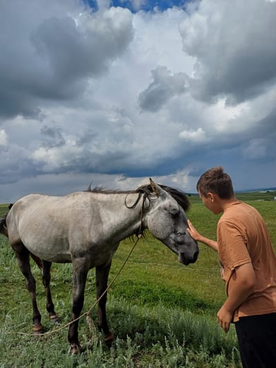 In a grassy field under a dramatic, cloudy sky, a young person wearing an orange t-shirt and black pants gently touches the head of a light gray horse. The horse stands with its eyes closed, its head lowered as if enjoying the contact. A rope is tied around the horse's neck and trails down to the ground. The background shows more green fields and a hint of distant hills, suggesting a rural setting in or near Nigamatovo, Russia. The clouds appear dark and heavy, hinting at impending weather.