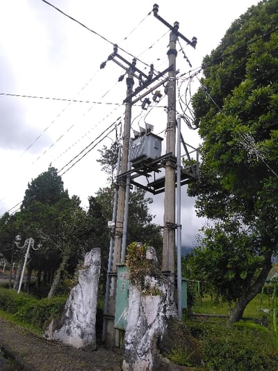 The image displays an outdoor scene in Ba Nwet Kone, Myanmar, dominated by electrical utility infrastructure under an overcast sky. In the midground, two concrete utility poles support a gray electrical transformer unit mounted on a metal platform. Above the transformer, multiple cross-arms with ceramic insulators suspend numerous overhead power lines across the frame. Below the transformer, conduits and a light-green electrical box are affixed to the poles. These are partially obscured by a weathered, irregular white stone or concrete structure, possibly a decorative gate post, with a similar structure visible to its left. The immediate ground to the left features a dark paved surface. Dense green foliage, including large trees and ground cover, surrounds the utility poles. To the left, a decorative white street light with multiple globes stands among coniferous trees. To the right, a large deciduous tree with bright green leaves is visible. The background consists of additional green trees and hints of distant terrain beneath a cloudy, light-gray sky. No individuals are present.