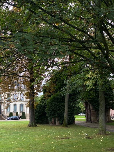 A landscape depicts trees with green and some autumn-colored leaves in the foreground, framing a view towards a building with white facade and windows. A car is parked near the building. Green grass and clipped hedges are visible. A gated entrance is at the end of the path lined with trees and greenery. The sky is overcast.