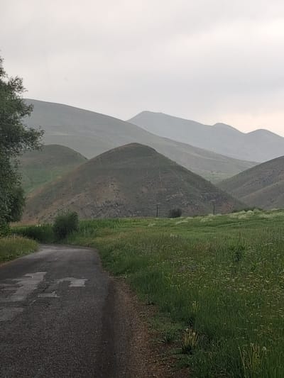 The image depicts a landscape in the city of Martiros, Armenia. A paved, weathered road curves from the foreground into the middle ground, bordered by lush green grass and scattered wildflowers on the right. To the left of the road, a large tree with dark green foliage is visible. In the background, rolling green hills dominate the scene, with layered mountains receding into the distance under an overcast sky. The hills show signs of terracing and varied vegetation. The overall atmosphere is serene and rural, possibly indicative of a damp or cloudy day.