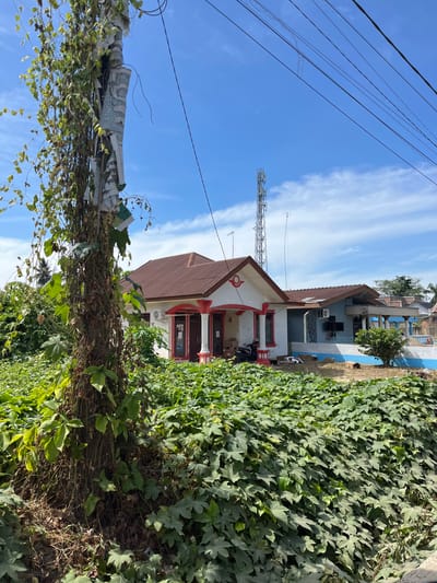 The image depicts a street scene in Dalam, Indonesia, under a bright blue sky with scattered white clouds. In the foreground, a large, weathered utility pole is heavily entwined with green vines, some of which appear dry and brown. The pole itself is covered in peeling paper, possibly old posters or advertisements. Behind the pole, a dense growth of lush green plants obscures much of the ground.

Beyond the vegetation, two houses are visible. The house on the left is white with a reddish-brown roof and features a prominent red and white striped porch with columns. A logo, which appears to be a stylized letter "P" within a circle, is visible on the front of this house. A motorcycle is parked near the porch. The house on the right has a blue and white facade and a similar reddish-brown roof. A small tree grows in front of this house. Further in the background, a tall communication tower can be seen, along with more buildings and trees. Electrical wires are strung across the top of the image. The overall impression is one of a somewhat overgrown but functional urban or semi-urban environment.