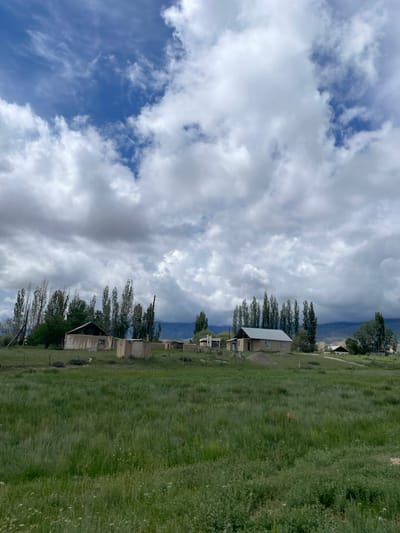 This is a full-shot, eye-level, outdoor, daytime, vertical, vertical, photograph of a rural village scene in Kara-Oi, Kyrgyzstan. The foreground is dominated by a lush green field of tall grass, with a few scattered wildflowers. In the mid-ground, a cluster of simple, rustic buildings are visible, including a tan house with a metal roof and several other structures that appear to be under construction or in disrepair. Tall, slender trees line the area behind the buildings. A mountain range can be seen in the far background. The sky is filled with dramatic, heavy grey and white clouds. There are no people visible in the photograph.