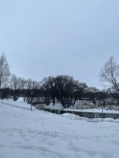 The image captures a snow-covered winter landscape in Fabriki 1 maya, Russia, under an overcast, light gray sky. The foreground shows a deep, undisturbed expanse of white snow covering an inclined embankment, sloping downwards towards the left. A light-colored metal handrail, consisting of two parallel bars, follows the contour of this slope. Indentations and tracks are visible in the snow in the immediate foreground, suggesting foot traffic.
In the midground, a dark, partially frozen river flows horizontally across the frame. Its banks are heavily covered in snow and fringed with ice, particularly along the far side. Numerous bare deciduous trees with dark trunks and branches line both sides of the river, forming a dense, leafless canopy that dominates the middle and background. Several trees on the far bank appear to lean towards or over the water. A dark lamppost with two light fixtures is visible on the near bank, positioned to the right of the handrail and slightly above the river level. Another similar lamppost can be seen further to the right, closer to the water's edge on the far side. The background consists of more bare trees extending into the distance, beneath the uniformly gray sky. No people or animals are present.