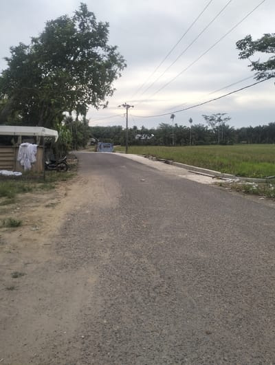 A motorcycle is parked next to a white canopy structure on a dirt path, with several white garments hanging from a fence. The motorcycle is black and partially obscured by the canopy. Beyond the dirt path is an asphalt road that curves to the right, leading into a rural landscape. The road is lined on the right by a rice paddy field and a concrete curb. A utility pole stands near the edge of the road, with power lines stretching across the sky.
In the background, a dense line of trees, including palm trees and taller varieties, borders the rice field. The sky is overcast, suggesting a cloudy day, possibly late afternoon or early morning given the soft light. The overall setting appears to be a quiet, rural area in Kebonbaru, Indonesia, characterized by agriculture and basic infrastructure. There are no people visible in the scene. The mood is calm and ordinary. No visible text is present.