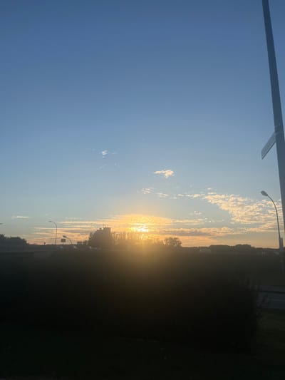 The image depicts an outdoor scene in Offenburg, Germany, observed from an elevated perspective during either sunrise or sunset. The sky is clear blue, gradually lightening towards the horizon, and features scattered, elongated clouds illuminated by the low sun. The sun, a brilliant golden light source, is positioned just above the horizon, slightly right of center, casting strong light and silhouetting elements against its glow. The immediate foreground is dominated by a dark, amorphous mass, likely dense foliage or terrain, in deep shadow.
In the midground, a multi-lane roadway is visible, featuring moving vehicles including at least one white van. Multiple streetlights with curved arms illuminate the road area. To the left of the sun's direct glare, a multi-story building with a flat roof and visible antenna structures is silhouetted. A line of trees extends horizontally across the scene. On the far right, a tall, slender utility pole with a horizontal crossbar is partially visible. No individuals are identifiable within the frame.