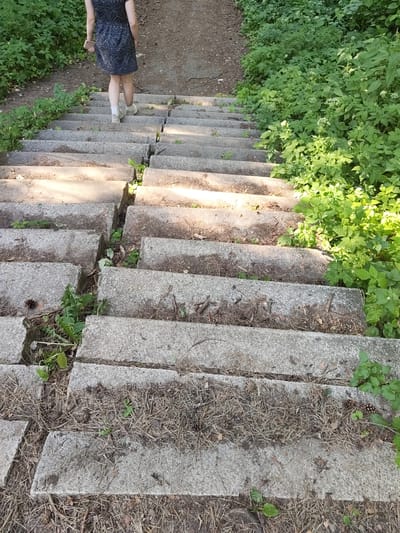 The scene depicts an individual descending an outdoor staircase in the city of Bykovo, Russia. A person, observed from a high rear perspective, is positioned approximately one-third down a set of approximately nine visible, irregularly constructed concrete or stone steps. The individual, appearing female, wears a dark, patterned sleeveless dress and light-colored athletic shoes with visible socks, and holds a light-colored smartphone in their left hand.

The staircase is composed of rectangular, light gray blocks, exhibiting varying alignment and spacing between individual steps and between the left and right sections of the ascent. Gaps between the blocks and across the step surfaces are filled with accumulated soil, dried pine needles, and sparse green vegetation, including small weeds and dandelions. A distinct brown pinecone is visible on the lower left side of the second step from the bottom, with other pinecones scattered across the steps.

Dense green foliage, consisting of various broad-leaved plants, some bearing small white flowers, flanks both sides of the staircase, indicating an overgrown or natural wooded environment. The ground surrounding the steps is earthen, covered with loose soil, dried leaves, and pine needles. A dirt path is discernible at the top of the stairs, receding into dense vegetation. Natural sunlight illuminates the scene, casting shadows on the left side of the steps and highlighting the right side and portions of the vegetation.