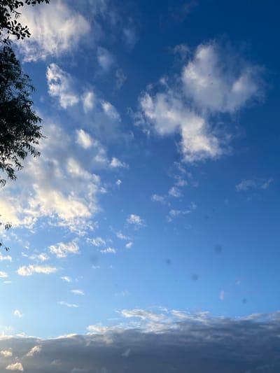 A vertical, wide shot shows a bright blue sky with scattered white and gray clouds. The upper left corner has a silhouette of dark green leaves and branches from a tree. The lower portion of the image features a dense, dark gray cloud layer.