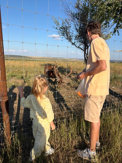 In Gornyi Balyklei, Russia, a man and a young girl stand near a wire fence, observing two deer in a fenced enclosure. The man, wearing a light peach t-shirt and beige shorts, holds a plastic bag filled with what appears to be carrots, offering them to the deer. The girl, dressed in a yellow gingham pajama set with a floral pattern, stands closer to the fence, her hand resting on it. One deer, with antlers, is partially visible on the right side of the enclosure, while another deer is partially visible in the background to the left. The environment outside the enclosure consists of dry, tall grass and sparse trees under a clear blue sky with scattered clouds. The setting suggests a sunny day in a rural or semi-rural area.