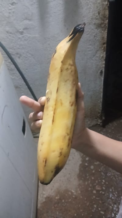 A partially blackened, overripe plantain is being held in a person's hand indoors in Putucual, Venezuela. The background shows a wall, a black cable, and a surface resembling a washing machine.