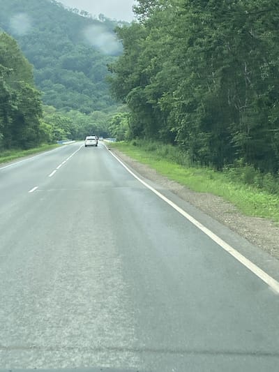 The image depicts a two-lane asphalt road in a rural, mountainous area, likely Ryazanovka, Russia. The road is bordered by dense, green foliage on both sides, with a large, tree-covered mountain range in the background. The sky is overcast, suggesting a cloudy or possibly rainy day, as evidenced by faint circular water spots on the camera lens.
There are two white cars visible on the road, driving in the same direction as the camera. The lead car appears to be a sedan, followed by another vehicle behind it. The road has white lane markings, indicating a divided highway or a road with clear directional guidance. The presence of guardrails and possibly a small blue bridge or structure in the distance suggests infrastructure common to such roadways. The ground beside the road is covered in grass and gravel. The overall scene conveys a sense of travel through a natural, verdant landscape.