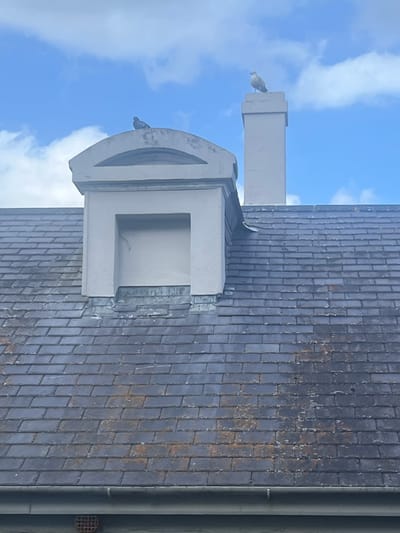 The image shows a gray, sloped roof made of slate tiles. A white dormer window structure with a curved top is visible on the left side of the roof. To the right of the dormer is a white chimney. Two birds are perched on the structures: a smaller, darker bird, likely a pigeon, is on the curved top of the dormer, and a larger, lighter-colored bird, possibly a seagull, is on top of the chimney. The sky above is blue with scattered white clouds. The foreground of the image shows the edge of the roof with a gutter and a circular vent. The scene appears to be an exterior view of a building's rooftop.