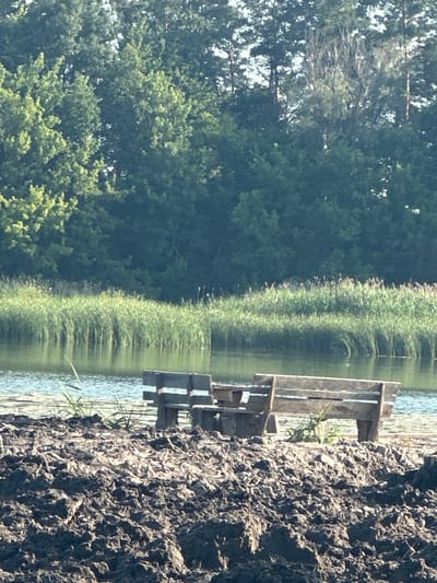 An outdoor scene depicts a weathered wooden bench and table set on a mound of dark soil, overlooking a body of water. Beyond the water, a dense line of tall green reeds and grasses borders a background of lush green trees. The image appears to be taken during daylight hours, with sunlight casting shadows. The location is identified as Khlypnivka, Ukraine.