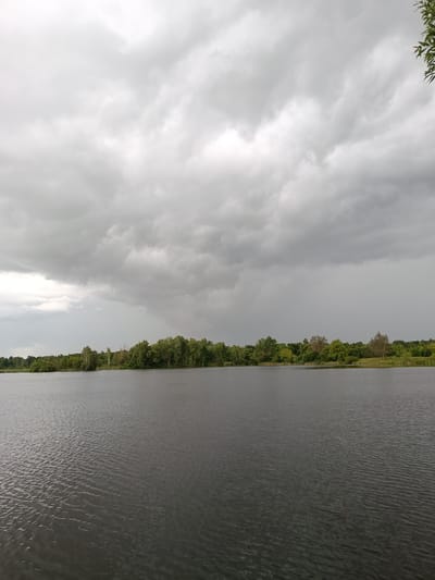 A wide shot shows a dark body of water in the foreground, with gentle ripples reflecting the overcast sky. Beyond the water, a line of lush green trees forms the background, stretching across the horizon. Above the treeline, heavy, grey storm clouds dominate the sky, with pockets of lighter grey and white indicating varying densities of cloud cover. The overall impression is one of an impending storm or the aftermath of one, with the subdued lighting and the moody sky creating a dramatic atmosphere. The scene is tranquil and natural, devoid of any human presence or man-made structures, suggesting a remote or undeveloped area. The location is identified as Manky, Russia.
