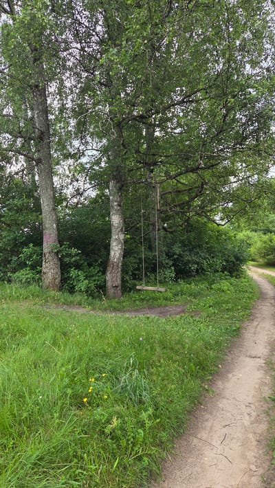 A dirt path curves to the right through a grassy area with scattered wildflowers. Two trees with light-colored bark and dense green foliage stand on the left side of the path. A wooden swing hangs from a branch of the rightmost tree, suspended by two ropes. The area is surrounded by lush green bushes and trees, suggesting a rural or park-like setting. There are no people or animals visible in the image. The scene appears to be located in Cekule, Latvia, based on the provided context.