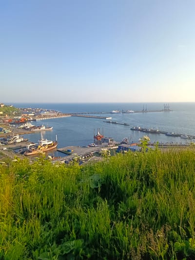The image depicts a panoramic view of the Korsakov seaport in Russia, bathed in the soft light of a clear, blue sky. In the foreground, lush green grass and wildflowers dominate, creating a natural, verdant border. Beyond this, the bustling port unfolds. Numerous vessels of various sizes, including fishing boats, cargo ships, and possibly a research vessel, are moored or navigating the calm, blue water. Cranes stand tall along the piers, indicating ongoing industrial activity. The cityscape of Korsakov is visible in the distance, with buildings clustered along the coastline, blending into the landscape. The overall scene is one of a working port integrated with the natural beauty of its coastal environment.