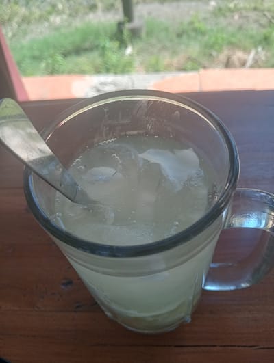 A close-up shot shows a glass of lemonade with ice cubes and a spoon on a wooden table. In the background, out of focus, is a reddish-orange wall, followed by green grass and vegetation. The setting is outdoors, possibly a cafe or restaurant in Sruni, Indonesia, given the humid, tropical foliage suggested by the background. The lighting is bright, indicating daytime.