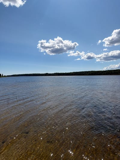 A wide shot captures a calm lake under a bright blue sky filled with scattered white clouds. The foreground shows shallow, clear water with a sandy bottom, revealing submerged rocks and reeds. The middle ground is a vast expanse of the lake, its surface rippled by a gentle breeze, reflecting the sunlight in numerous shimmering sparkles. In the background, a dense, dark green forest lines the distant shore. The scene appears to be a natural landscape, possibly a recreational area within or near Jalguba, Russia. There are no people or identifiable objects in the frame.