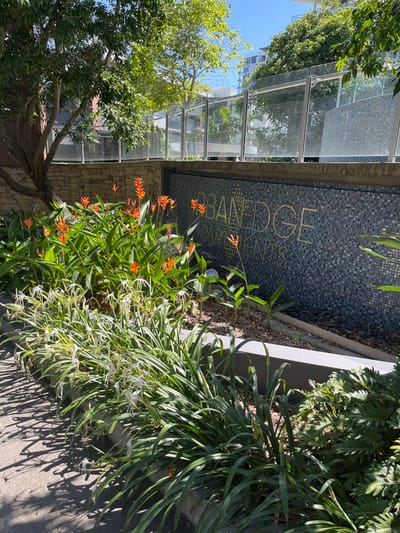 This brightly lit outdoor image, originally rotated, showcases a modern and lush entrance area, likely belonging to an apartment complex. The scene is bathed in strong, direct sunlight, evidenced by the distinct shadows cast across the light-colored paved ground, suggesting a clear day around midday or early afternoon.
A prominent feature is a dark, mosaic-tiled wall, possibly part of a building's facade or a decorative boundary. On this wall, metallic gold or bronze lettering clearly spells out "URBANEDGE APARTMENTS." Below the tiled section, a textured stone or brick wall extends.
To the left of this central wall, a sleek glass and metal structure, perhaps a walkway canopy or part of the building's entrance, reflects the surrounding trees and bright blue sky. Further to the left, a mature tree with a substantial trunk and dense green foliage provides natural cover.
The foreground and mid-ground are rich with vibrant plant life within well-maintained planter beds. Clusters of bright orange, torch-like flowers, possibly Heliconia, provide striking bursts of color. Adjacent to these are delicate white, spidery flowers, likely Spider Lilies (*Hymenocallis*), characterized by their long, slender petals. Various other green leafy plants, including some with large, broad leaves, contribute to the tropical aesthetic. Long, grass-like foliage cascades on the far right.
No people or direct activity are visible, depicting a serene and static view of the building's exterior. The modern architecture and tropical landscaping align with what one might find in a contemporary residential development in a location such as Kelvin Grove, Australia.