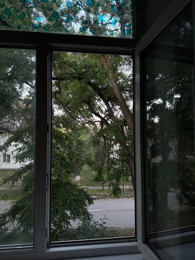 The image is a view through a window with a decorative, patterned glass panel at the top. Outside the window, trees with lush green foliage are visible, with some branches extending into the frame. A road runs horizontally across the midground, and on the other side of the road, a white building with a few windows can be seen. The right side of the window is open, and the glass reflects the trees and the building. The scene appears to be set in a residential area, possibly in the city of Vishnevetskiy, Russia, judging by the architecture and vegetation. There are no people or discernible actions in the image. The overall lighting suggests it might be daytime, but possibly overcast or nearing dusk.