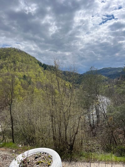 A landscape photograph taken in Leshtak, Bulgaria, presents a view of a wooded area and a hillside under a cloudy sky. The perspective is angled upwards, showcasing the vegetation and the cloud cover. In the foreground, there is a painted white tire filled with soil. The midground features trees and a hillside. In the background, there are more distant hills, a body of water, and a sky filled with white and grey clouds. The hillside in the midground is covered in green trees, while the foreground trees are mostly bare with some new growth. The sky overhead is predominantly cloudy, with some patches of blue visible.