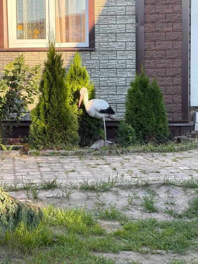 The image depicts an outdoor scene in the vicinity of a building in the Valyavichi rural council, Belarus. A prominent element is a life-sized decorative stork statue standing near a row of conifer trees. The building features stone and brick facades and a white-framed window with sheer curtains. The ground in front of the building is paved with interlocking concrete bricks, with patches of grass growing between them. The overall environment suggests a residential or garden setting with landscaping.