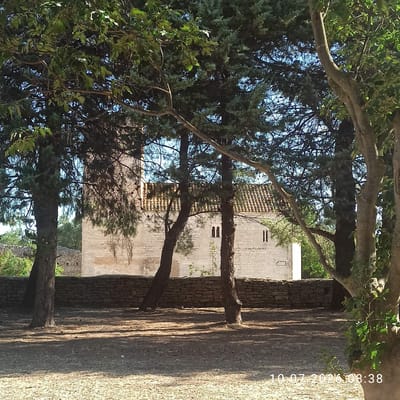 The image shows a stone building with a tiled roof, partially obscured by trees. The building appears to be an old church or historical structure. A stone wall runs in front of the building, and the ground is covered in dry grass and dirt with shadows cast by the trees. The sky is visible through the leaves of the trees, and it is a clear blue. A timestamp, "10.07.2026 08:38", is visible in the lower right corner of the image. This structure is located in Terlizzi, Italy.