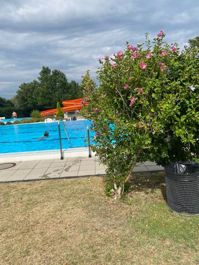 The image shows an outdoor swimming pool complex on a cloudy day. In the foreground, a flowering shrub with pink and purple blossoms is positioned to the right of the frame, next to a wire mesh trash can lined with a black plastic bag. Behind the shrub is the edge of a bright blue swimming pool, with tiled paving surrounding it. A person is swimming in the pool. In the midground, several more people are visible near the edge of the pool. Further back, an orange water slide complex is visible, with green trees and a grey, overcast sky completing the scene. The location is identified as Deutschkreutz, Austria.