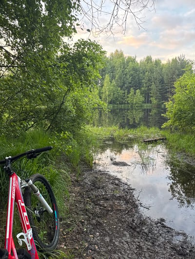 A red mountain bike is parked on a muddy bank next to tall green grass. The bike's frame is predominantly red with white and blue accents. The handlebars, front fork, and a portion of the front wheel are visible. Beyond the bike, a body of water, likely a lake or pond, reflects the sky and a dense forest of green trees. The sky is partly cloudy with a hint of pink and orange, suggesting either sunrise or sunset. The overall scene depicts a natural outdoor setting, possibly a trail near a body of water. The location is identified as Polkovo, Russia.