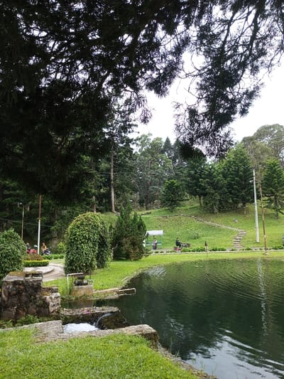 The image depicts a park scene in Ambositra, Madagascar, under an overcast sky. In the immediate foreground, dark green grass covers a bank at the edge of a pond. A stone structure on the left features a small spillway where white foamy water cascades into the main body of water. The pond's surface is dark green with discernible ripples.

Moving to the midground, a paved path curves from the left foreground towards the center-left, bordered by a low stone wall and manicured bushes. On this path, two individuals are visible near a red scooter or motorcycle. Further right, a large, dense, weeping-style bush stands near the path, followed by a smaller conifer-like shrub. A grassy hillside rises behind the pond, featuring a winding stone pathway resembling steps. Near the base of this hill, adjacent to the pond, a white, open-sided shelter contains two seated individuals. To the right of the shelter, another individual is seated on a bench, facing the water. A thin black pole or marker protrudes from the water near the right bank. A utility pole with overhead wires is visible on the right side of the pond.

The background is dominated by a dense forest of various tree types, extending up the slopes. The sky, visible through the tree canopy, is uniformly light grey, indicating overcast conditions.
