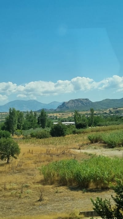 The image captures a vast landscape under a bright blue sky with scattered white clouds, likely taken on a clear day. In the foreground, dry, golden grass fields dominate, interspersed with patches of green vegetation. A prominent single green tree stands to the left of the frame, while a dense cluster of tall green plants is visible on the right. Further in the middle ground, a line of tall, slender trees runs horizontally across the image. Beyond the trees, there's a more cultivated landscape with fields and scattered buildings, including a white structure that appears to be a shed or small industrial building. The background features rolling hills and distant mountains, with a distinct rocky peak in the center. The scene appears to be rural and natural, possibly a view from a moving vehicle. The overall impression is one of a sunny, rural environment in the vicinity of Sidirokastro, Greece.