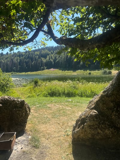 The image depicts a serene natural landscape, likely a park or natural reserve in Lamoura, France, on a sunny day. In the foreground, two large boulders frame a view of a calm lake surrounded by lush greenery. A tree branch laden with green leaves extends from the top of the frame, partially obscuring the bright blue sky.
The lake is a prominent feature, with water lilies dotting its surface in the foreground and reeds lining its edges further back. Beyond the lake, a dense forest of tall, dark green trees covers a gentle hillside. The overall impression is one of tranquility and natural beauty, characteristic of a peaceful outdoor setting. There are no people or animals visible in the image.