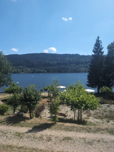The image depicts a scenic view of Lake Titisee in Titisee-Neustadt, Germany, on a clear, sunny day. The lake is a deep blue, with several small boats scattered across its surface. In the background, a densely forested hill rises steeply from the lake's edge, covered in dark green trees that create a textured silhouette against the bright blue sky.
In the foreground, a grassy and sandy area slopes gently towards the lake. Several trees with lush green foliage are present, some planted in groups and supported by stakes. One prominent tree in the mid-ground has a distinctive umbrella-like canopy. A red park bench sits partially in shadow beneath one of these trees. White beach umbrellas are visible near the shoreline, suggesting a recreational area. The ground is covered with dry grass and scattered pebbles, indicating a warm, possibly dry, season.
To the left of the frame, a portion of a small wooden structure, possibly a building or shelter, is visible. A large tree stump is also noticeable in the left mid-ground. The overall atmosphere is peaceful and serene, capturing a typical summer day at a popular German lake resort.