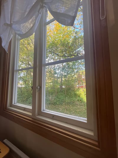 The image displays an outdoor scene viewed from an interior room in Västervik, Sweden, through a multi-pane window. The interior elements consist of a natural wood-colored window frame and sill, white painted sashes, and white sheer tie-back curtains partially obscuring the upper window area. A white beaded cord hangs vertically on the right interior frame. A silver-colored latch and ring mechanism is visible on the central vertical window sash.
The outdoor environment is dominated by dense deciduous trees and vegetation, exhibiting a mix of green, yellow, and early autumnal orange foliage. A grassy area immediately outside the window is scattered with fallen leaves. In the middle distance on the left, a body of water is partially visible, reflecting light. Further into the scene, partially obscured by the trees on the right, a red building or structure is discernible. The sky is clear blue, and the outdoor scene is brightly illuminated by natural sunlight, casting some highlights and shadows. No people are visible.