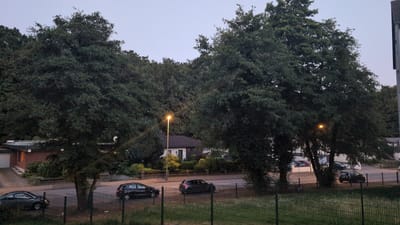 The image depicts a residential street in Hagen, Germany, at dusk. The scene is dominated by large, mature trees with dense green foliage, casting shadows across the road and adjacent properties. A street lamp illuminates a section of the road, its warm light contrasting with the cooler tones of the twilight sky.

Several cars are visible. On the left side of the road, a dark sedan is parked. Further down the road, another dark sedan is also parked, and to its right, a black hatchback is parked. Beyond the cars, houses are nestled amongst the trees. One house with a dark tiled roof and white window frames is particularly noticeable, with a small garden area in front of it. Another building, with a brick facade and a flat roof, is visible to the left, partially obscured by trees.

A green metal fence runs along the bottom of the image, separating the street and its surroundings from a grassy area. The overall atmosphere is peaceful and quiet, characteristic of a suburban neighborhood in the early evening. The sky is a pale, hazy blue, suggesting the end of the day and the transition into night. There is no visible text in the image.