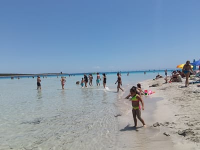 This is a horizontal, eye-level, medium shot of a crowded beach on a sunny day. The water is crystal clear and shallow, with seaweed visible on the sandy bottom. Numerous people are scattered across the beach and wading in the water. In the foreground, a young girl in a neon yellow and pink bikini is walking along the water's edge, her legs covered in sand. Behind her, other beachgoers are relaxing on the sand, some under colorful umbrellas. Further out in the water, more people are swimming and playing. In the distance, a thin strip of land with trees and a tall tower can be seen. The sky is a clear, bright blue, indicating fair weather. The scene suggests a typical summer day at a popular beach destination, likely in the Mediterranean, given the location context of Isthintini/Stintino, Italy. The overall mood appears relaxed and joyful, with people enjoying the sun and sea. There is no visible text in the image.