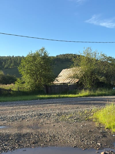 The image depicts a rural scene in Skovorodino, Russia. In the foreground, a gravel road is visible, with a puddle of water on the left side. A wooden fence runs along the middle ground, separating the road from a grassy area and a dilapidated wooden structure with a weathered roof. Several trees with green foliage are scattered around the structure, and a wooded hill with a dense forest covers the background. The sky is clear and blue. A thin black wire runs horizontally across the upper portion of the image.