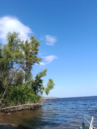 The image shows a body of water with a treeline on the left and the corner of a boat in the lower right. The sky is blue with scattered white clouds. The water is dark blue with ripples. The treeline consists of various trees, some with green leaves and others with bare branches. A fallen tree lies on the shore, partially submerged in the water. The scene appears to be a natural landscape, likely a river or lake, under a clear sky. The location is identified as Voskresensky District, Russia.