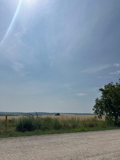 The image depicts an outdoor scene on a sunny day with a bright sun flare in the upper left corner. The foreground features a dirt road with gravel. Behind the road, there is a strip of green grass and weeds, followed by a field of golden crops, likely wheat or barley. A dense green tree stands on the right side of the frame, with its branches extending into the upper right quadrant. In the background, rolling hills are visible, dotted with vegetation and what appear to be distant structures or trees. The sky is a pale blue with scattered white clouds. There are no people or animals visible in the image. The environment suggests a rural or agricultural setting.