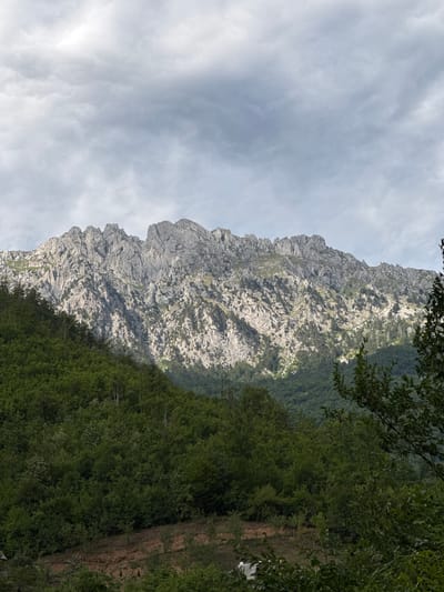The image displays a rugged, rocky mountain range in the distance, partially obscured by a dense, green forest in the foreground and mid-ground. The sky above is overcast with grey clouds. The lower part of the image shows a sloped area with some sparse vegetation and a hint of what might be a small structure. The scene is a natural landscape, characteristic of mountainous regions.