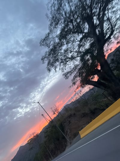 The image depicts a scene in Cortada de Maturín, Venezuela, featuring a sunset sky with pink and orange hues breaking through layers of gray clouds. The branches of a dark tree silhouette against the sky on the left. A utility pole with wires extends across the sky. On the right, there's a hillside with sparse vegetation and a segment of a road with a yellow barrier.