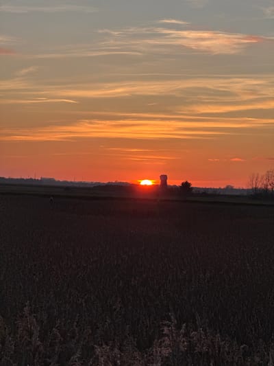 The image captures a rural sunset scene in Broadland, United Kingdom. The sky, which dominates the upper two-thirds of the frame, displays a gradient of color, transitioning from a pale blue at the top through shades of orange to an intense deep red at the horizon. Wispy cirrus clouds and broader stratocumulus formations are visible, illuminated by the setting sun. The sun itself is a brilliant, partially obscured, intense orange-red disc, positioned slightly to the left of the vertical center, resting on the horizon line. Directly to the right of the sun, a tall, cylindrical structure, identifiable as a water tower or silo, stands in dark silhouette. To its right, a small cluster of bare trees is also silhouetted. On the far left of the horizon, indistinct industrial buildings are faintly visible as dark shapes against the bright sky. The foreground comprises a vast, dark field of low-lying vegetation, likely crops, rendered in deep browns and blacks due to the backlighting. In the immediate bottom section, taller, dry grasses and weeds are present, appearing slightly lighter in tone. No people are depicted.