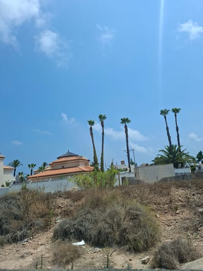 The image depicts a bright, sunny day with a clear blue sky and scattered white clouds, suggesting a location in Playa Flamenca, Spain. In the background, a cluster of modern buildings with orange-tiled roofs and white facades are visible, interspersed with tall palm trees. A notable building has a distinctive domed roof. In the foreground, a dry, scrubby landscape dominates, characterized by sparse, brown vegetation and rocky, sandy soil. Some litter is present in the foreground, including a white plastic bag. The scene appears to be a view from a roadside, looking up towards residential structures and a natural, arid environment.