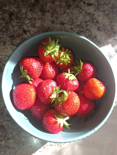 A light blue ceramic bowl filled with ripe strawberries sits on a speckled granite countertop. The bowl is positioned in the center of the frame, with sunlight casting shadows and highlights across the fruit and the surface. The background is out of focus, showing a portion of the countertop and a bright area that appears to be sunlight reflecting off a surface. There are no people or actions depicted in the image. The scene is a still life composition. The location in the city of Zhovti Vody, Ukraine, is not discernible from the visual information provided in the image.