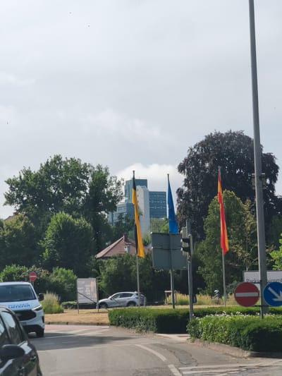 In Lörrach, Germany, an overcast sky hangs above a street scene. In the background, a modern, multi-story building with blue-tinted windows stands out, partially obscured by lush green trees. A large, dark-leafed tree is prominent on the right side of the frame. Several flags are visible: a European Union flag, a Spanish flag, and a yellow and black flag, possibly representing a German state or city. A street light pole stands tall on the right. In the mid-ground, a white van with "WALTER LUTEMA" and the Ford logo is parked, alongside a silver SUV. Road signs are present, including a red circular sign with a white horizontal bar indicating "no entry," and a blue circular sign with a white arrow pointing downwards, suggesting a permitted direction. A billboard with German text, readable as "BUMMOCKER HOF," is also visible. The foreground shows a paved road with white lane markings and a grassy median with small white flowers.