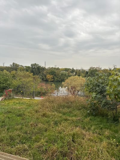 The image displays an elevated view of a natural landscape in Épinay-sur-Seine, France, under an overcast sky. In the foreground, an unkempt grassy area with interspersed green and dry brown vegetation slopes downward. A dark, possibly wooden, plank is visible at the bottom left edge. A black metal railing with vertical bars spans the midground horizontally, separating the grassy slope from the area below. Immediately beyond the railing, a body of water, consistent with a river, reflects the grey sky. The banks of this water body are densely lined with deciduous trees displaying autumnal foliage, including shades of green, yellow, and red. Red flowering plants are visible near the left end of the railing. In the background, a continuous tree line extends across the horizon. Multiple lattice-structured electrical transmission towers are visible above the distant tree canopy, with faint urban structures discernible further in the distance. The scene is devoid of people or direct human activity.