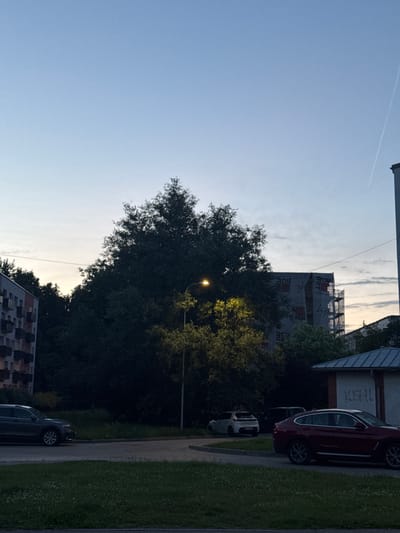 The image shows a street scene in Olaine, Latvia, likely in the late afternoon or early evening given the soft, warm light filtering through the trees. The sky is clear and blue with a faint contrail visible, suggesting fair weather.
In the foreground, a dark-colored car is parked on the side of a paved road. Further down the road, a red car is also parked. The area alongside the road is covered in green grass, dotted with small white flowers. To the left of the road, a large, dense tree with illuminated foliage stands prominently. A street light is visible within the tree, its light casting a warm glow.
Behind the trees, a building undergoing renovation or construction is visible, covered in scaffolding and tarps. Text, including "RDE MIT" and what appears to be "KUSH!" are visible on the building. The scene evokes a sense of everyday urban life with a touch of recent development.