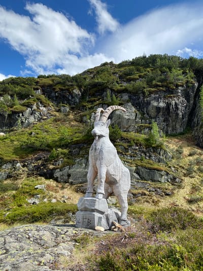 The image displays an outdoor mountainous scene identified as Innertkirchen, Switzerland. The central subject is a large, light-colored wooden sculpture of an ibex, positioned in the midground. The ibex sculpture stands on a carved base that includes visible markings, specifically the initials "JFB" or "H FB" carved into one side, and a small, unidentifiable object resting at its lower right. The ibex faces slightly to the viewer's left, showcasing prominent ridged, curved horns characteristic of the species.

Behind the sculpture, the terrain ascends steeply, characterized by a rugged mountain or hill face. This slope comprises numerous grey rock formations and boulders, interspersed with dense patches of green vegetation, including low shrubs, grasses, and small coniferous trees. Patches of drier, brownish-yellow vegetation are also visible on the slopes.

The foreground consists of a rocky surface covered with patches of yellowish-green lichen. Sparse green and brown low-lying vegetation, including grasses, extends across this area.

The upper portion of the image features a clear blue sky with several elongated, white clouds. No human figures or direct human actions are depicted within the scene, which is illuminated by natural daylight.