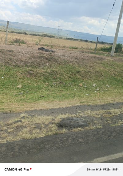 The image depicts an outdoor landscape in Malewa West ward, Kenya, under a partly cloudy sky. In the immediate foreground, a dark asphalt road with a faint white line on its right edge is partially visible. Above the road, a gravelly shoulder transitions into an upward-sloping embankment covered by a mix of green and dry, light-brown grass. Scattered small rocks and white and red debris are present on this grassy slope. A small, yellowish-brown, indistinct object is situated within the green grass in the lower-middle portion of the embankment. Higher on the embankment, a cluster of larger dark rocks or boulders is visible.
A wire fence, supported by light-colored wooden posts, runs horizontally across the top of the embankment, separating it from a vast, open field. This field, predominantly light brown or tan, contains sparse vegetation and small trees. Several small, dark birds are perched on a wire of the fence in the mid-ground. To the right, a tall, light-colored utility pole with electrical wires extends upwards. In the background, a range of dark-vegetated hills stretches across the horizon. A metal lattice-style electrical transmission tower is visible in the far-left distance, positioned against the hills. No individuals or specific actions are discernible.
